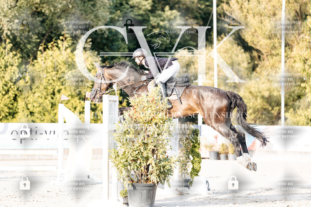 CK903457 | Turnierfotografie Pferdefotografie Trier Rheinland-Pfalz Pferdesport Reitsport Tierfotografie Sportfotografie Pferdevideo Pferdevideografie Equestrianvideography equestrianphotography  - Realisiert mit Pictrs.com