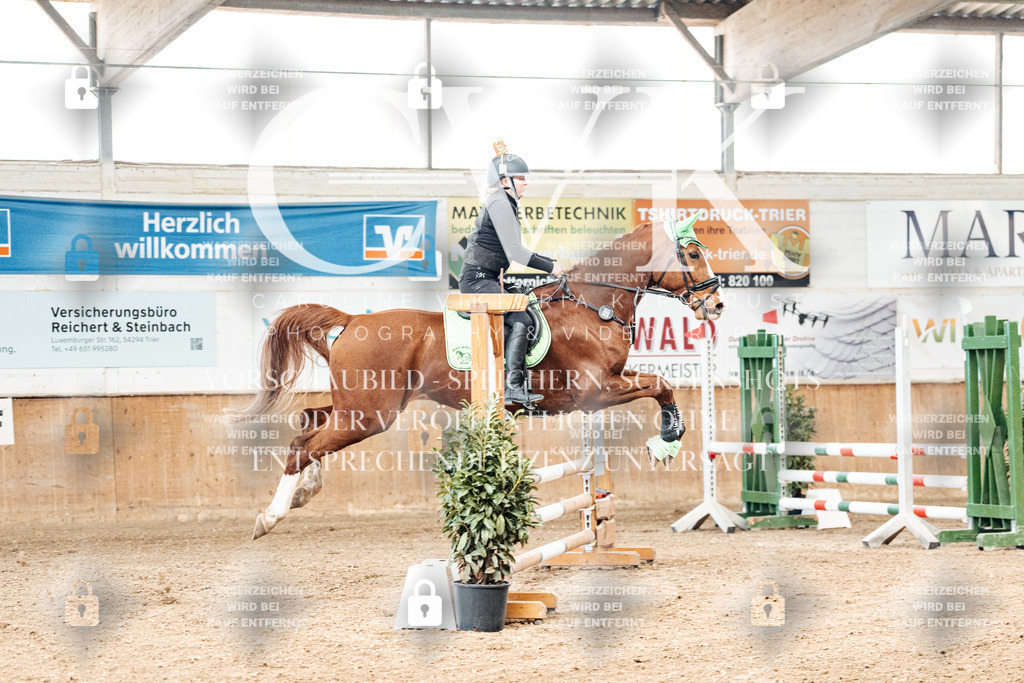 CK905457 | Turnierfotografie Pferdefotografie Trier Rheinland-Pfalz Pferdesport Reitsport Tierfotografie Sportfotografie Pferdevideo Pferdevideografie Equestrianvideography equestrianphotography  - Realisiert mit Pictrs.com