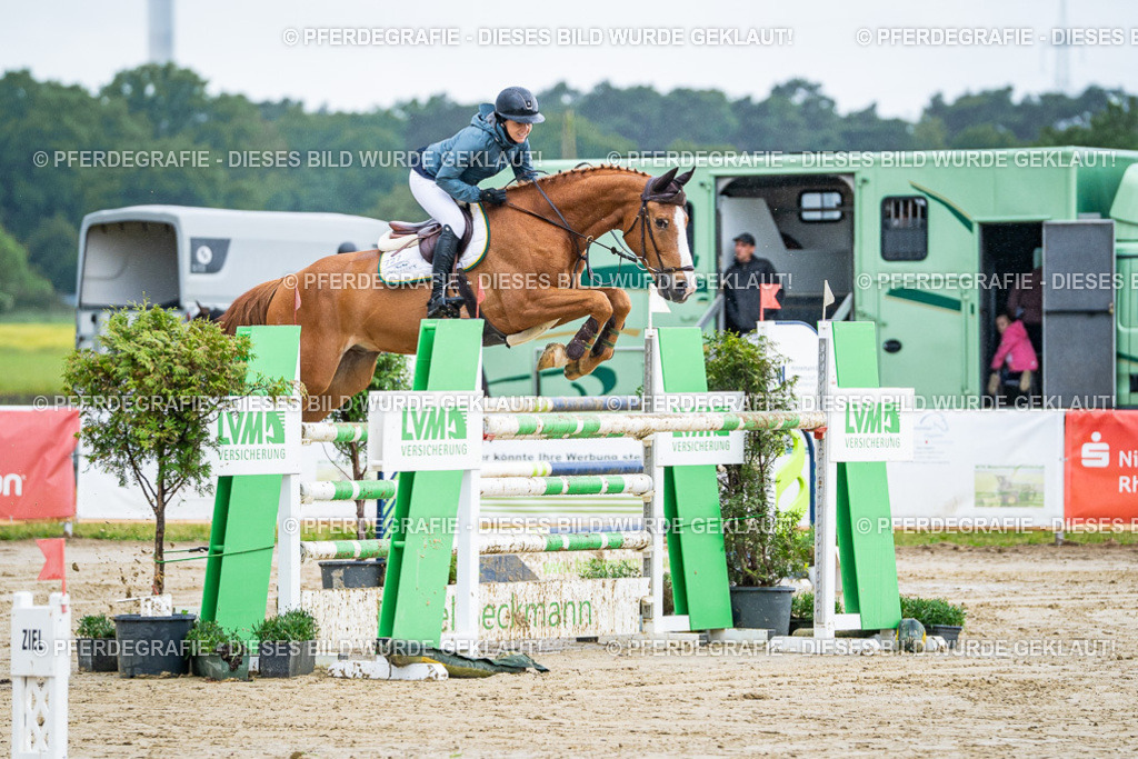 DSC03469 | Pferdegrafie