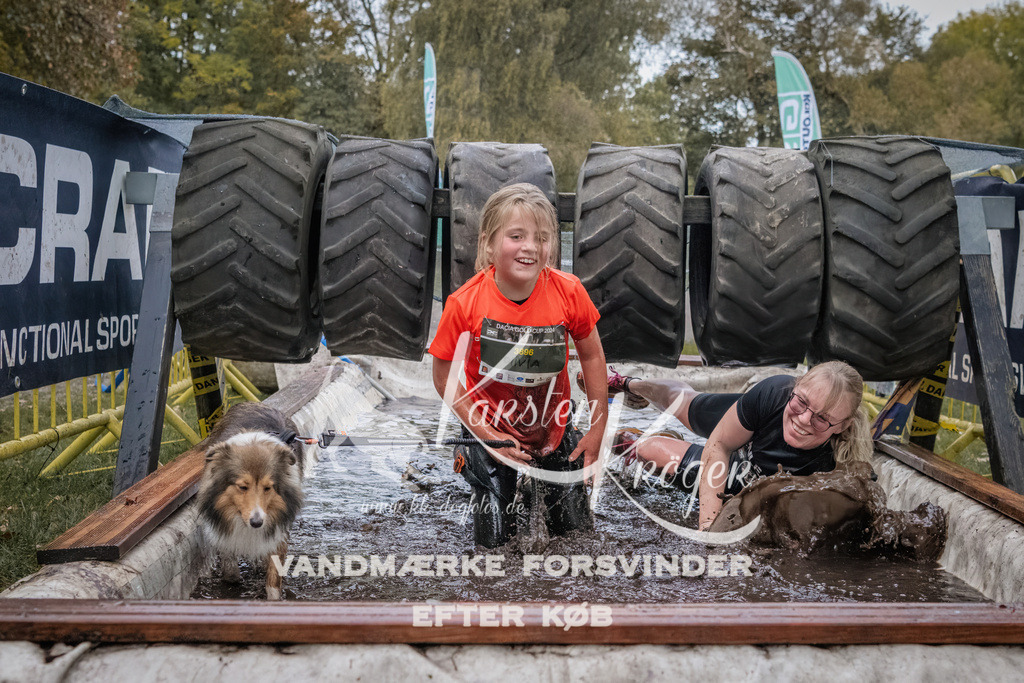 1717_ZZ90144 | kk-dogfotos