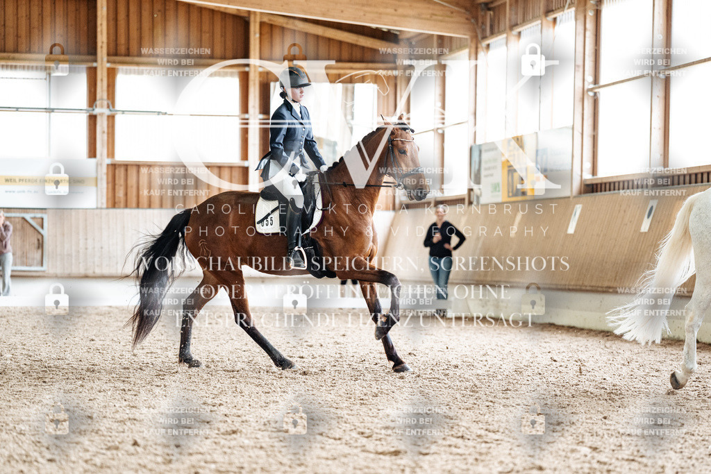 CK900400 | Turnierfotografie Pferdefotografie Trier Rheinland-Pfalz Pferdesport Reitsport Tierfotografie Sportfotografie Pferdevideo Pferdevideografie Equestrianvideography equestrianphotography  - Realisiert mit Pictrs.com