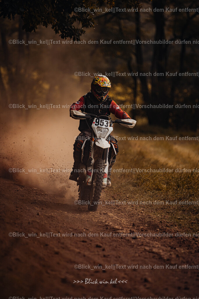 E68A8252 | blick_win_kel