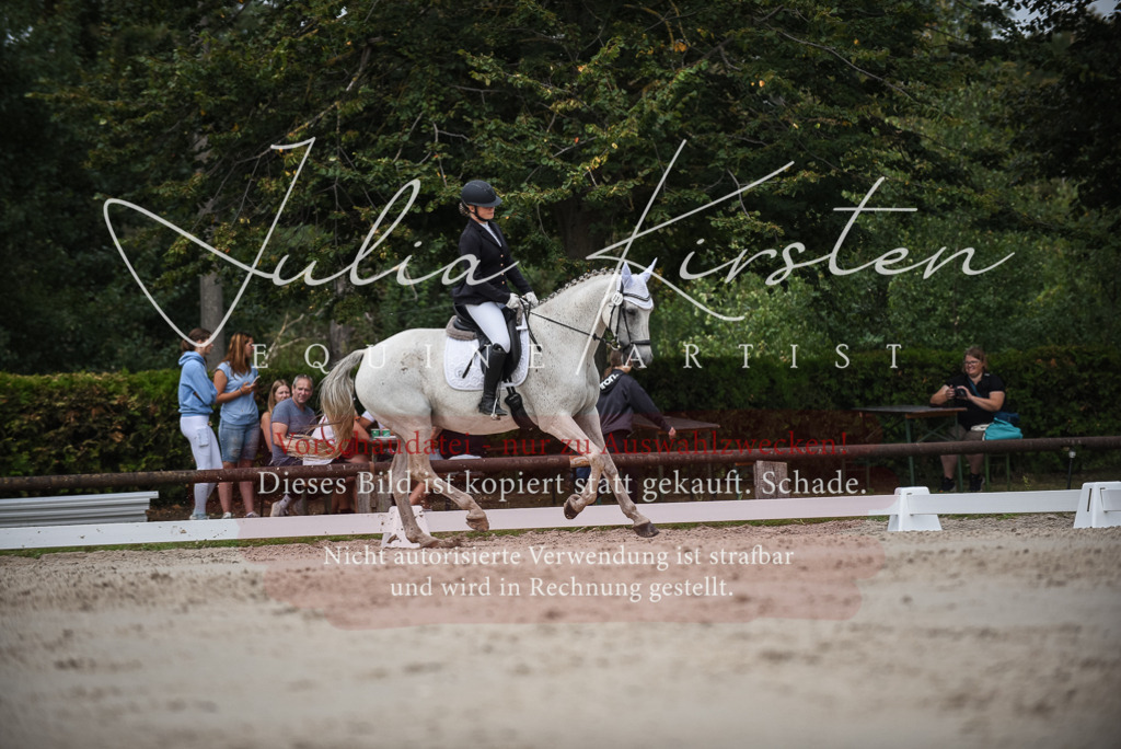 DSC_8487 | Pferde- und Turnierfotografie in Westsachsen. Pferdeportraits, Auftragszeichnungen und intuitive Kunst.