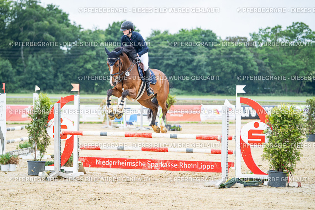 DSC03430 | Pferdegrafie