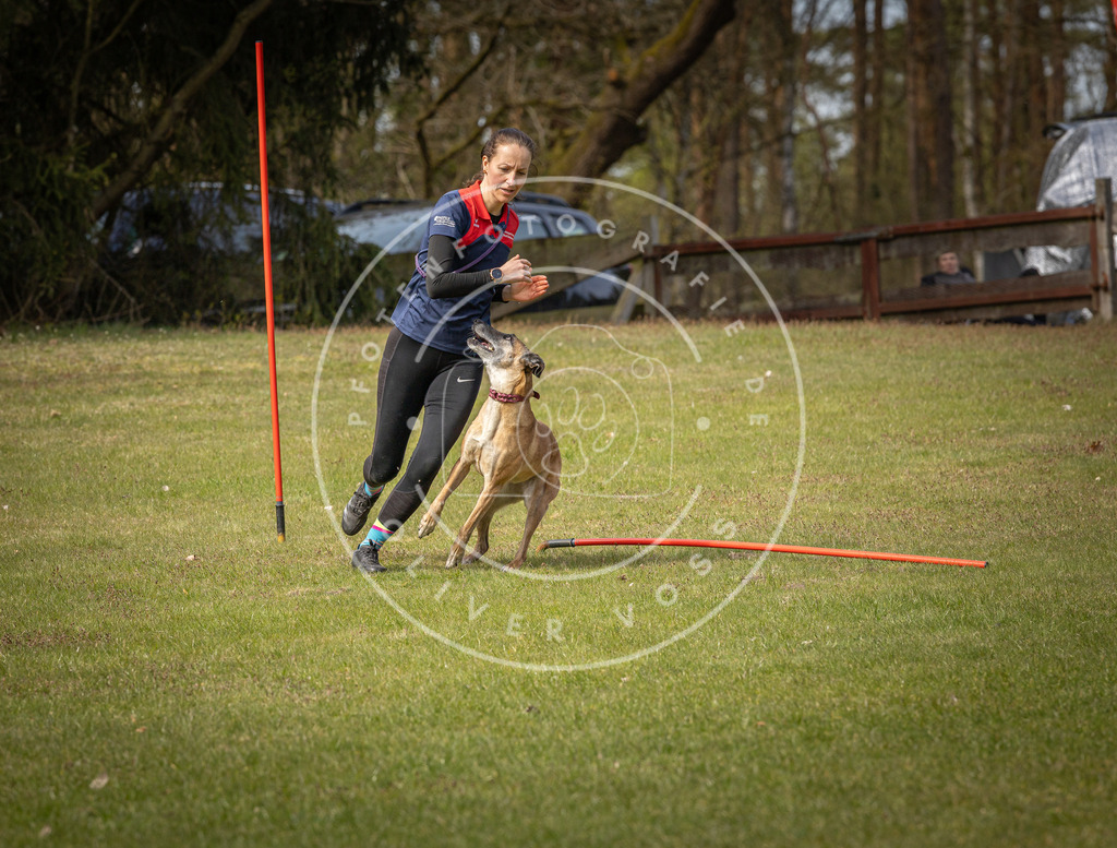 Pfotenfotografie_DV3A7431 | Hundefotografie, Tierfotograf, Pfotenfotografie, Fotoshooting Hund, Hunde Portrait, Hundesport, Hundeportraits, Heideshooting, Hunde, Sportfotograf, Hundefotograf, Turnierhundsport, THS,  - Realisiert mit Pictrs.com