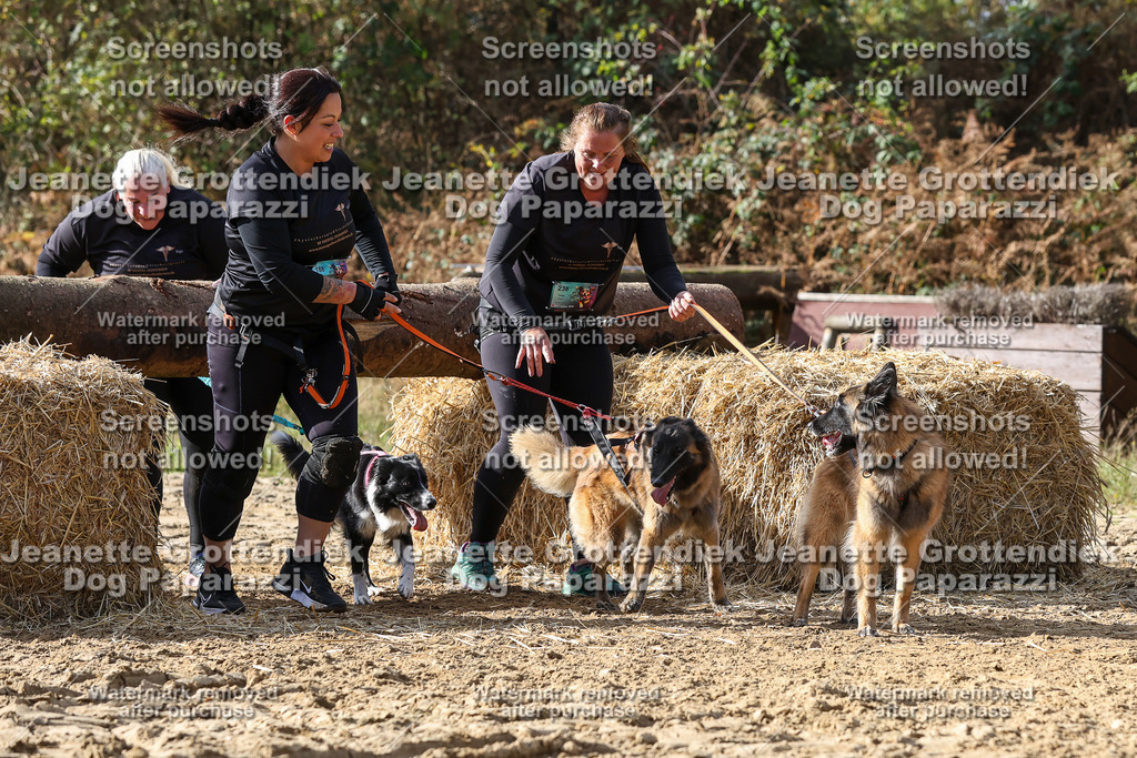 Dog Paparazzi - Strongdog 10-25-5350 | Dog Paparazzi Jeanette Grottendiek Fotografie & Videografie - Realisiert mit Pictrs.com