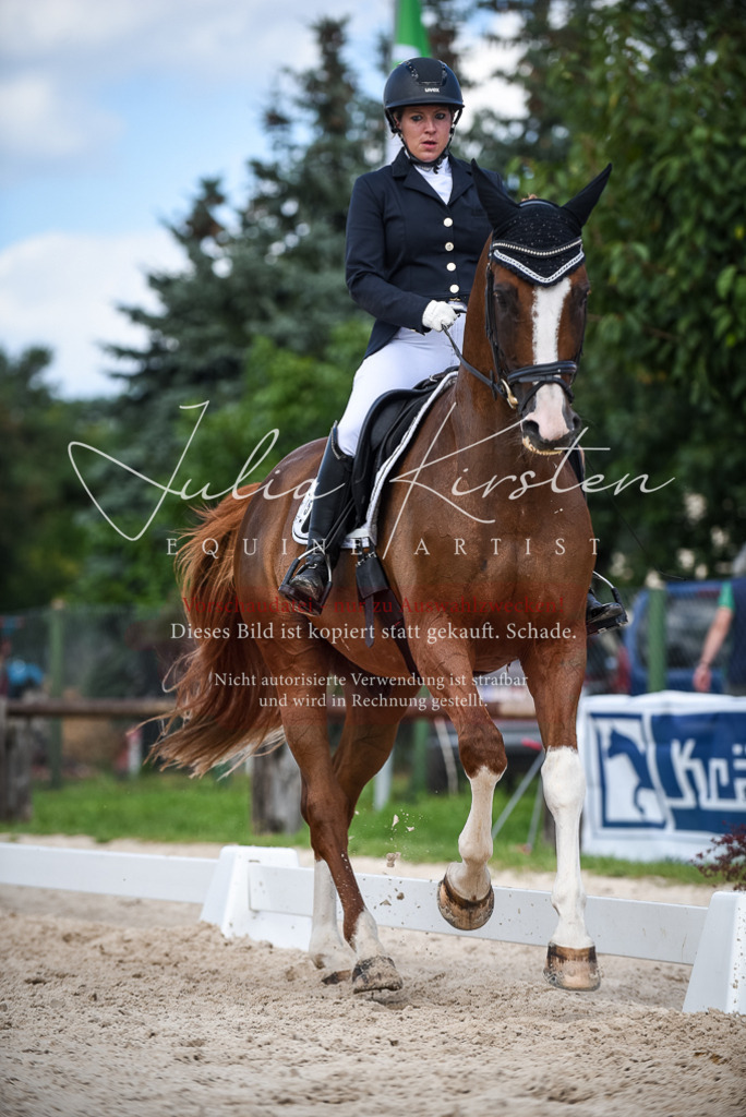 DSC_9344 | Pferde- und Turnierfotografie in Westsachsen. Pferdeportraits, Auftragszeichnungen und intuitive Kunst.