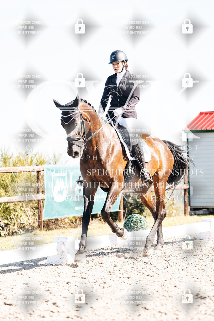 CK908735 | Turnierfotografie Pferdefotografie Trier Rheinland-Pfalz Pferdesport Reitsport Tierfotografie Sportfotografie Pferdevideo Pferdevideografie Equestrianvideography equestrianphotography  - Realisiert mit Pictrs.com