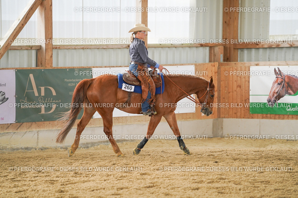 DSC05503 | Pferdegrafie