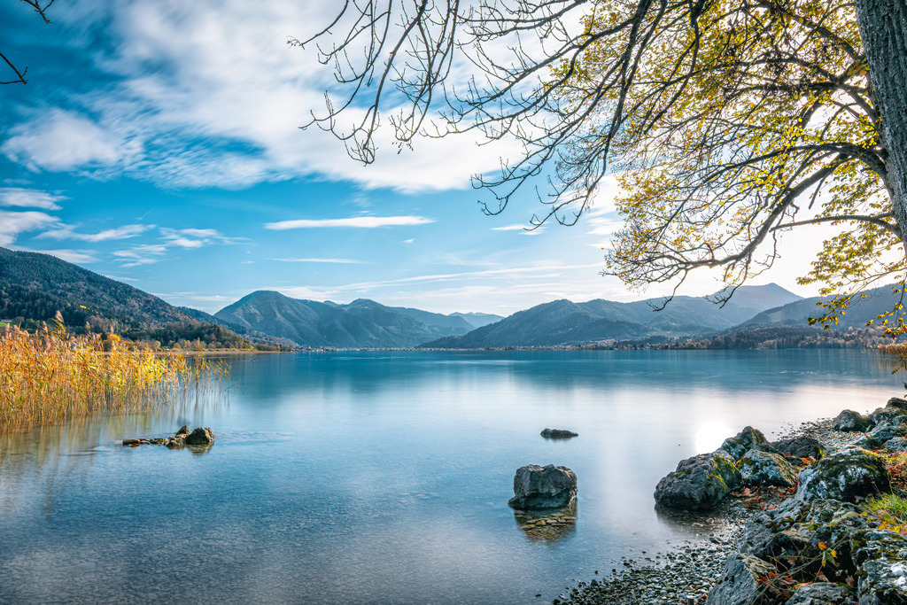 Eine idyllische Uferansicht des Tegernsee und die Berge der bayrischen Voralpen | Das Bild zeigt eine idyllische Uferansicht des Tegernsees in Oberbayern, umgeben von den bayerischen Voralpen.Details zum Motiv• Ort: Der Tegernsee in den bayerischen Alpen.• Merkmale: Klares Wasser, von Schilf und Steinen gesäumtes Ufer sowie herbstlich gefärbte Bäume im Vordergrund - Realisiert mit Pictrs.com