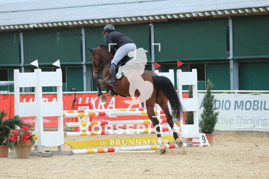 DL2Q4104 | Willkommen bei Brunnmayr - Design & Fotografie – Ihrem Spezialisten für Reitturniere und Pferdeveranstaltungen in Oberösterreich, Salzburg und Bayern! Seit über 17 Jahren sind wir leidenschaftlich dabei.