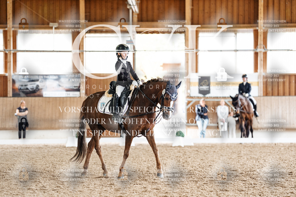 CK901624 | Turnierfotografie Pferdefotografie Trier Rheinland-Pfalz Pferdesport Reitsport Tierfotografie Sportfotografie Pferdevideo Pferdevideografie Equestrianvideography equestrianphotography  - Realisiert mit Pictrs.com