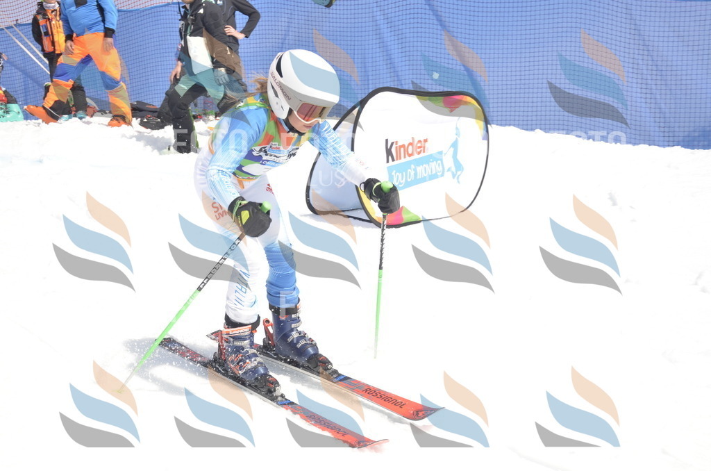 _ELE9114 | holidayphoto