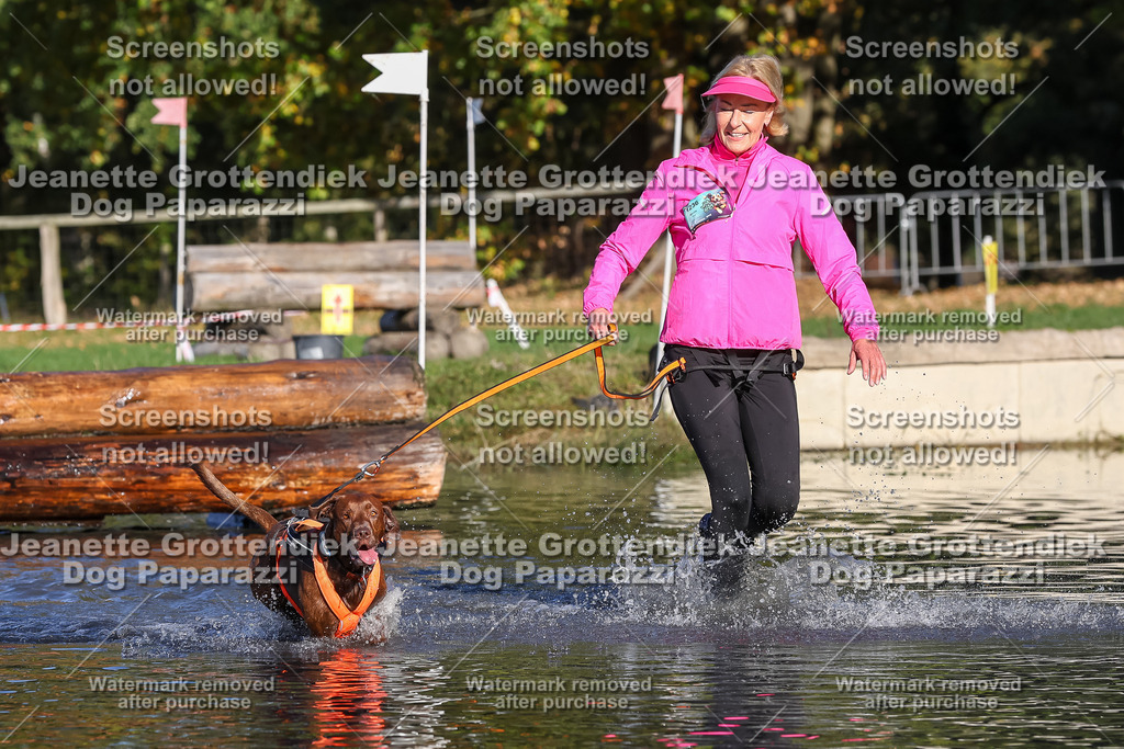 Dog Paparazzi - Strongdog 10-25-8667 | Dog Paparazzi Jeanette Grottendiek Fotografie & Videografie - Realisiert mit Pictrs.com