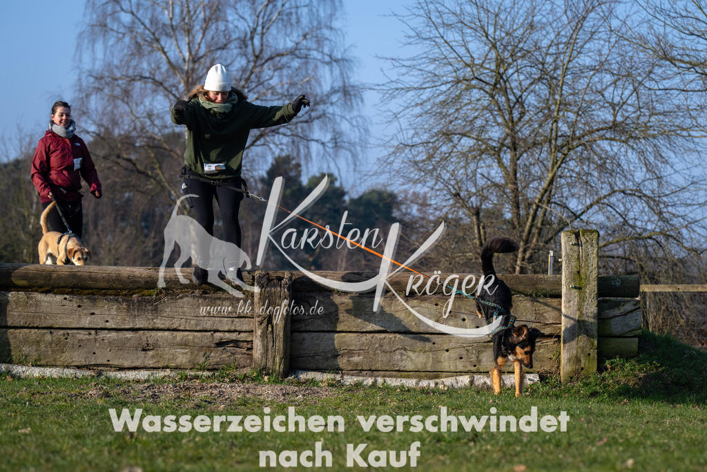 _ZZ92260 | kk-dogfotos