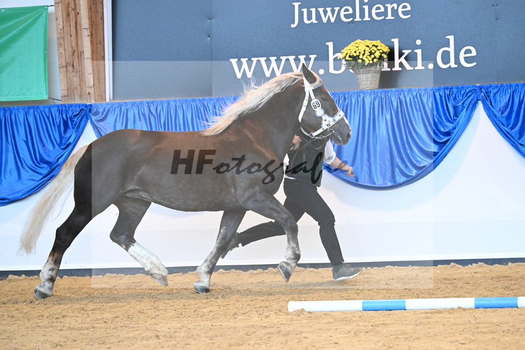 Kat-Nr. 69 Nevada_Bacher_53220281 | hf-fotografie - Realisiert mit Pictrs.com