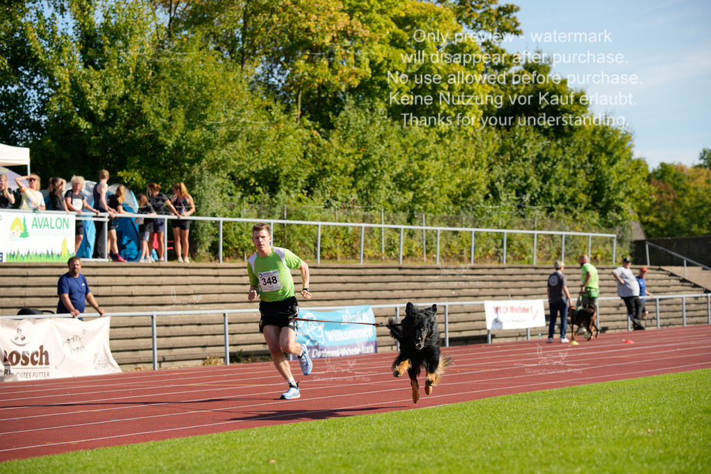 Sonntag_Staffel (105 von 336) | stephaniefillaphotographie - Realisiert mit Pictrs.com