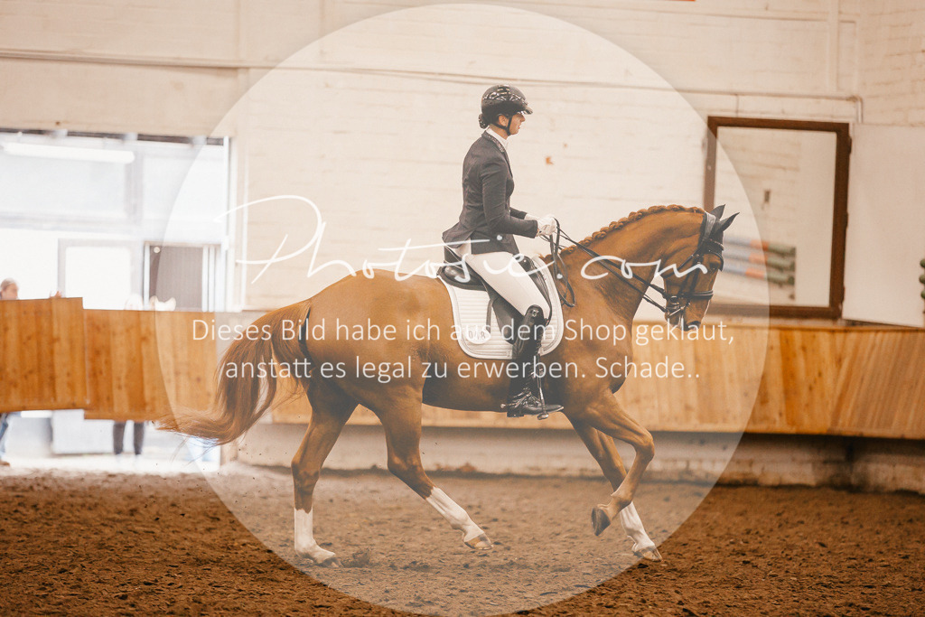 3I6A2602 | Stimmungsvolle Portraits und Reitsportfotografie im Ruhrgebiet und im Münsterland.

Pferdefotografie, Hundefotografie, Tierfotografie, Reportagen, Portraits von Tier und Mensch, Turnierfotografie in Bochum, Recklinghausen, Marl, Haltern am See, Dülmen.. - Realisiert mit Pictrs.com