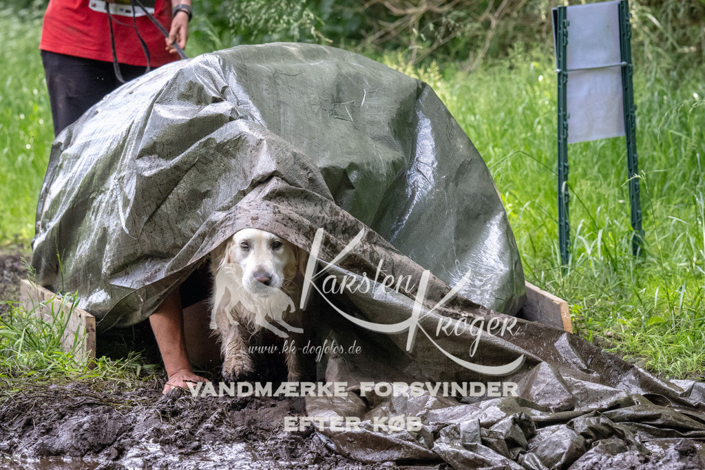1248_ZZ93575 | kk-dogfotos