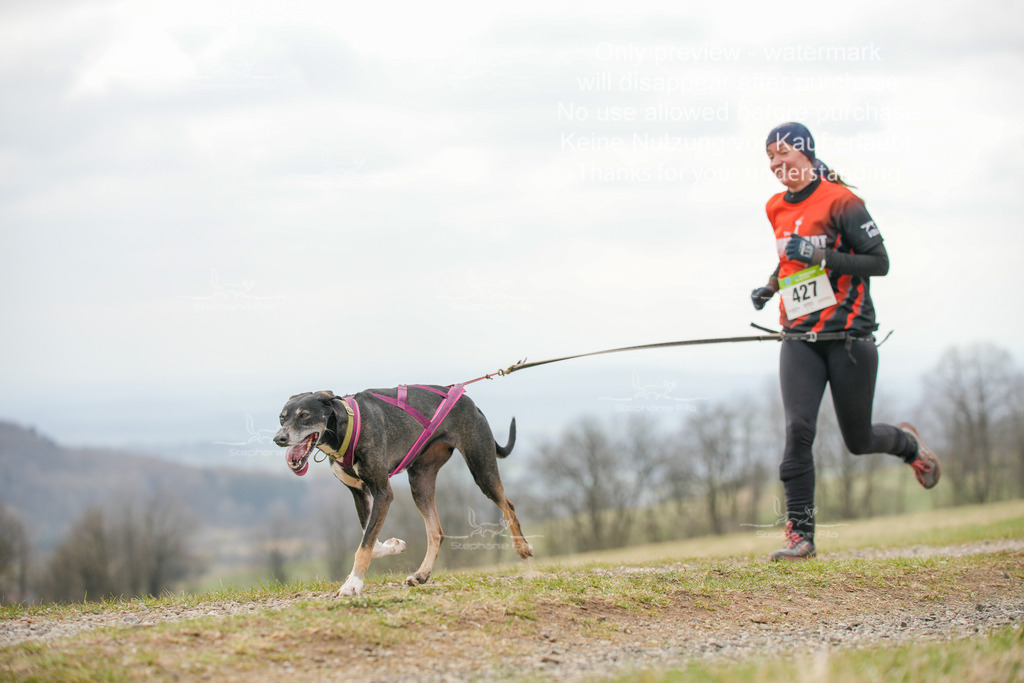 CaniXRunSA-166 | stephaniefillaphotographie - Realisiert mit Pictrs.com