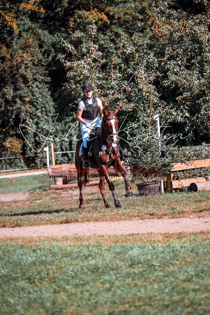 DSC_0771 | Pferde- und Turnierfotografie in Westsachsen. Pferdeportraits, Auftragszeichnungen und intuitive Kunst.