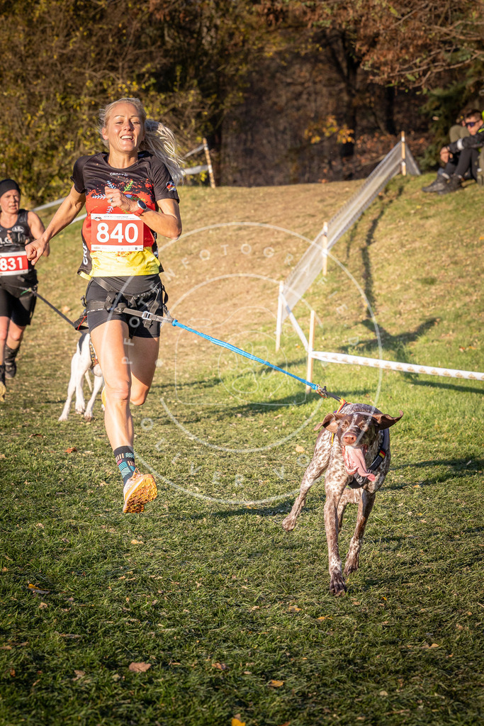 CaniXpix_0L8A0720 | Hundefotografie, Tierfotograf, Pfotenfotografie, Fotoshooting Hund, Hunde Portrait, Hundesport, Hundeportraits, Heideshooting, Hunde, Sportfotograf, Hundefotograf, Turnierhundsport, THS,  - Realisiert mit Pictrs.com