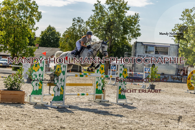 26-7-25 SPR M+-184 | mandyhollmannphotographie