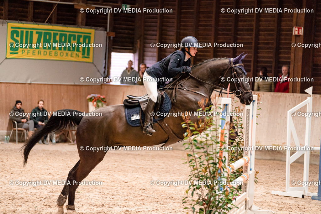 Springen Tag 2-035 | dv-media-shop - Realisiert mit Pictrs.com