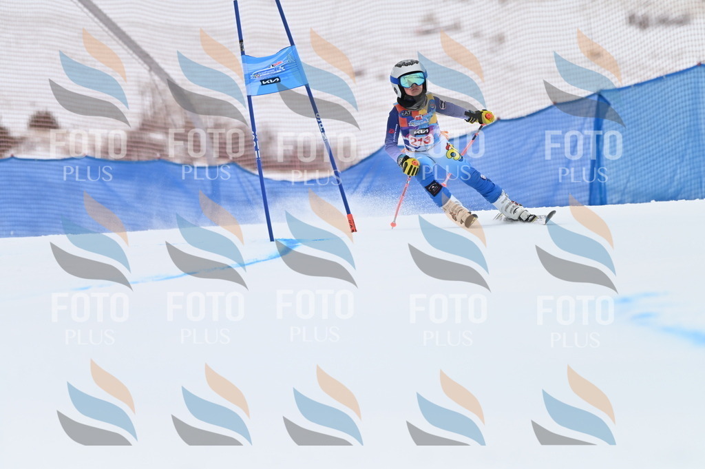 BGV_2591 | holidayphoto