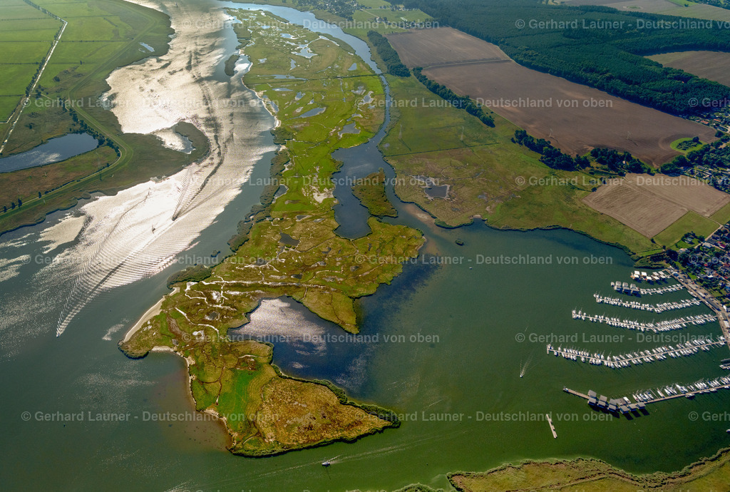 4061081 | Naturschutzgebiet Großer Wotig, KRöSLIN 08.09.2021 Tümpel und Morast- Wasseroberfläche in einer Teichlandschaft entlang des Peenestrom Flussverlauf am Krösliner See in Kröslin im Bundesland Mecklenburg-Vorpommern, Deutschland.