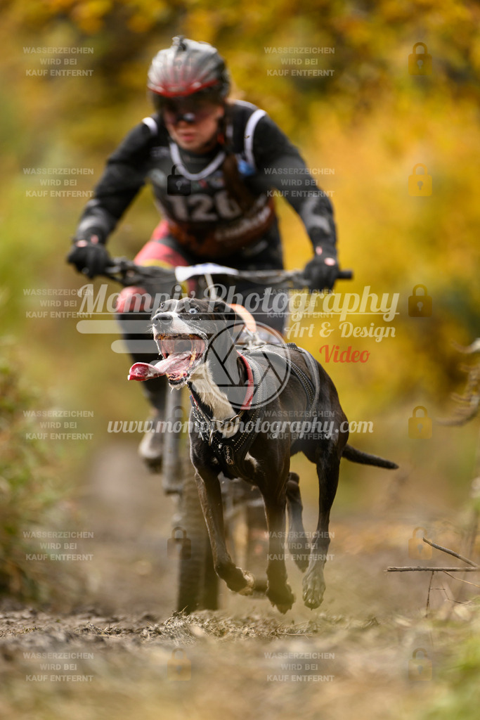 MompixPhotography_ICF_WC_2024_SA_Bike_-113 | PayLife