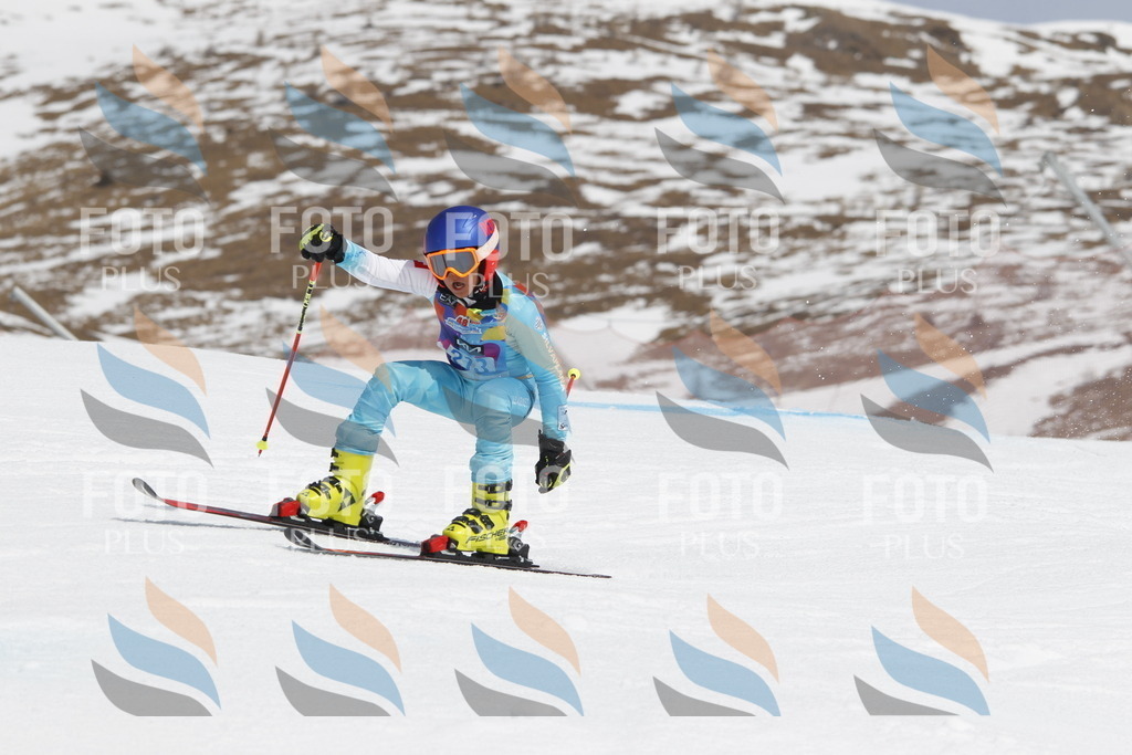 _U3G2265 | holidayphoto