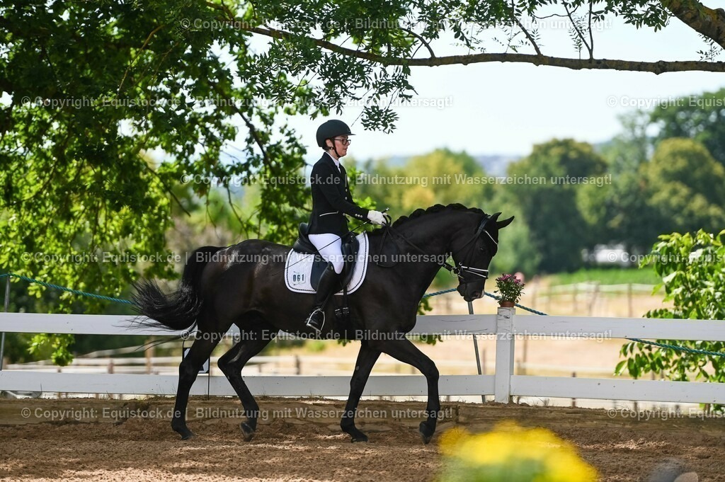 20230715_07_Dressurpferdeprfg. Kl.L_0179 | equistock