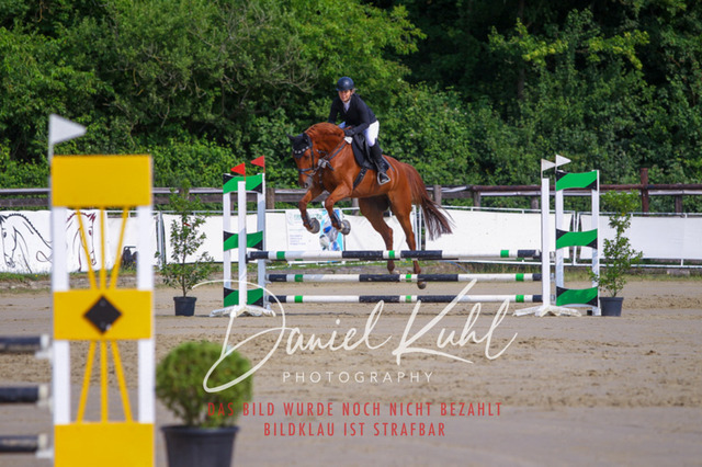 DKP41248 | Turniersportfotografie; Pferdefotografie; Dressurfotografie