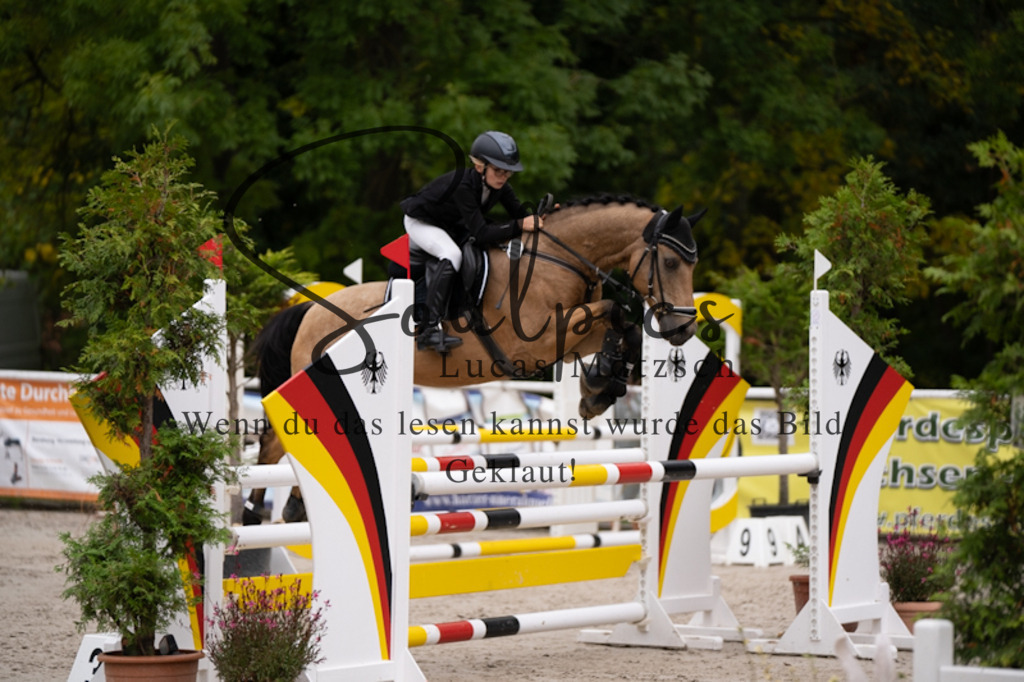 A7V09314 | Pferdefotograf