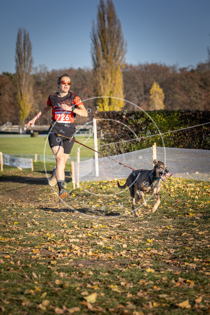 CaniXpix_DV3A1965 | Hundefotografie, Tierfotograf, Pfotenfotografie, Fotoshooting Hund, Hunde Portrait, Hundesport, Hundeportraits, Heideshooting, Hunde, Sportfotograf, Hundefotograf, Turnierhundsport, THS,  - Realisiert mit Pictrs.com