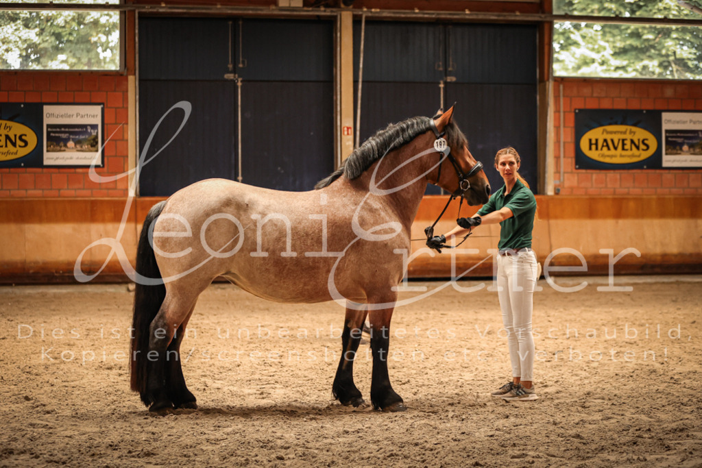 SaFL00350 | Leoni Ertmer Photography - Realisiert mit Pictrs.com