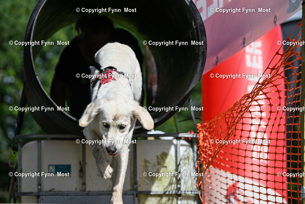 DSC_2222 | Hallo und herzlich Willkommen auf meiner Shop-Seite Fynn Most.

Ich wünsche Dir viel Spaß beim stöbern durch die Bilder, wenn Du Fragen hast oder Bilder vermisst, kannst du mir gerne eine Nachricht schreiben. - Realized with Pictrs.com