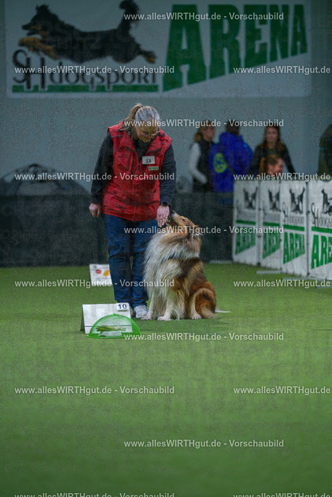 7R500444 | Professionelle Tierfotografie in Mönchengladbach von Daniel Wirth (allesWIRTHgut). Liebevolle & natürliche Bilder von Hunden & Katzen für unvergessliche Erinnerungen.