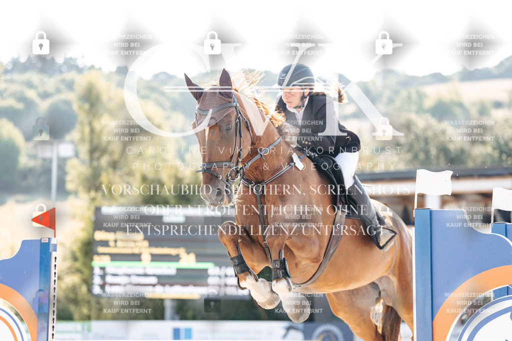 CK901676 | Turnierfotografie Pferdefotografie Trier Rheinland-Pfalz Pferdesport Reitsport Tierfotografie Sportfotografie Pferdevideo Pferdevideografie Equestrianvideography equestrianphotography  - Realisiert mit Pictrs.com