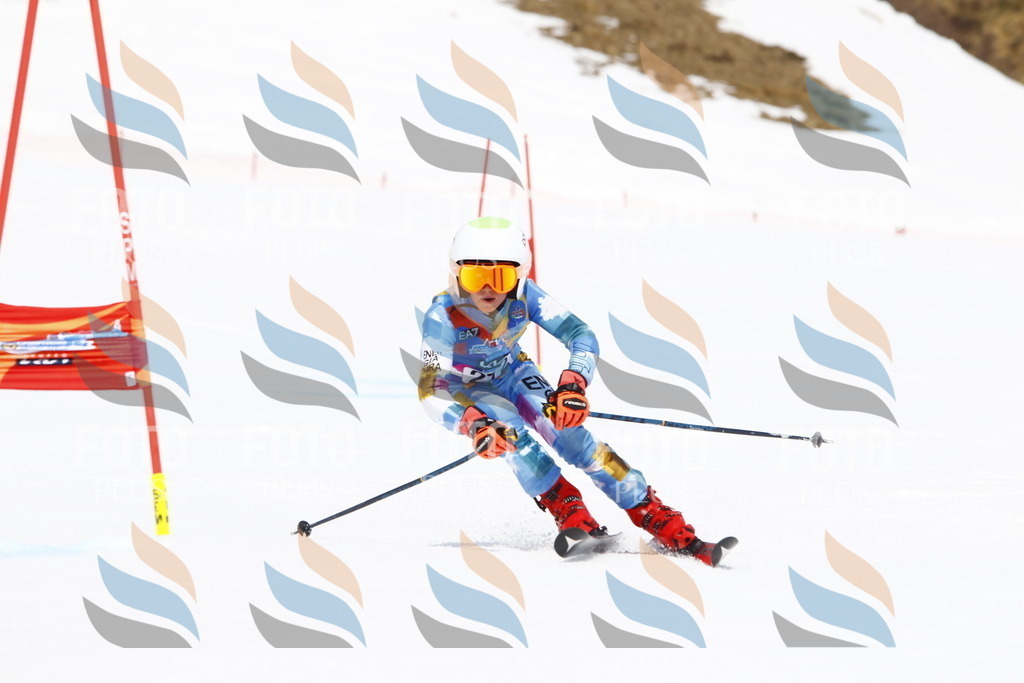 _U3G6813 | holidayphoto