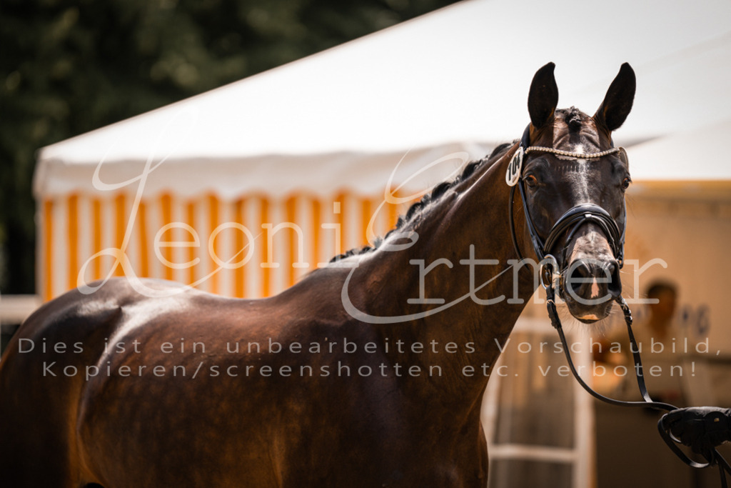 2. Fr00206 | Leoni Ertmer Photography - Realisiert mit Pictrs.com