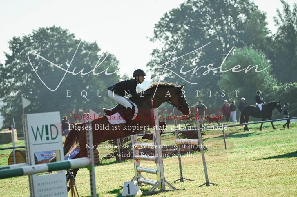DSC_4101 | Pferde- und Turnierfotografie in Westsachsen. Pferdeportraits, Auftragszeichnungen und intuitive Kunst.