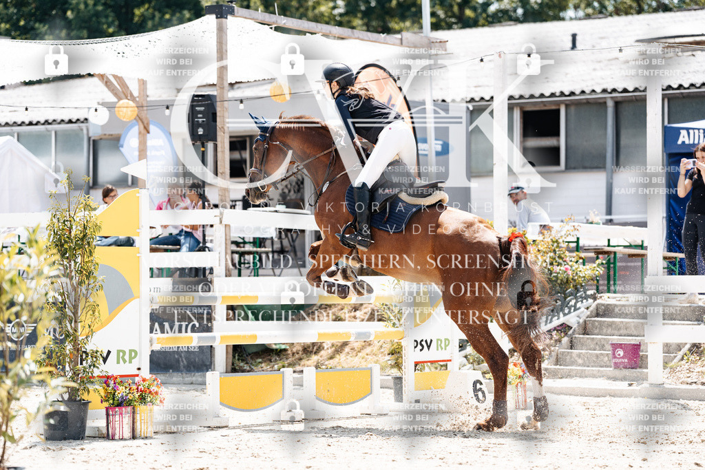 CK907793 | Turnierfotografie Pferdefotografie Trier Rheinland-Pfalz Pferdesport Reitsport Tierfotografie Sportfotografie Pferdevideo Pferdevideografie Equestrianvideography equestrianphotography  - Realisiert mit Pictrs.com