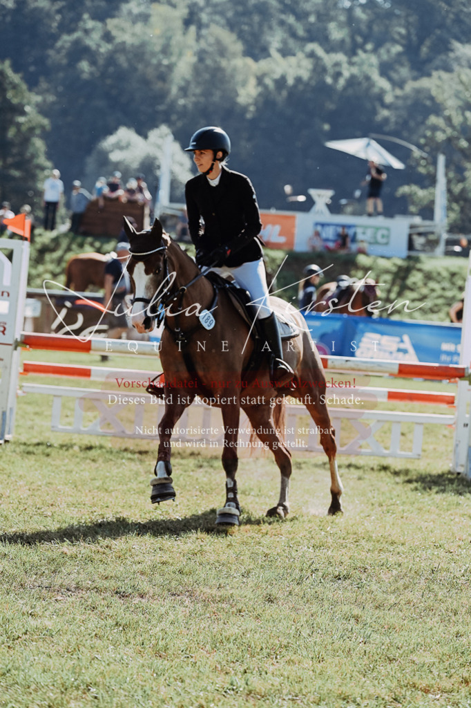 DSC_5406 | Pferde- und Turnierfotografie in Westsachsen. Pferdeportraits, Auftragszeichnungen und intuitive Kunst.