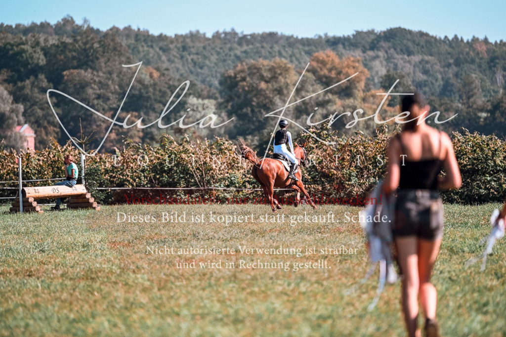 DSC_0878 | Pferde- und Turnierfotografie in Westsachsen. Pferdeportraits, Auftragszeichnungen und intuitive Kunst.