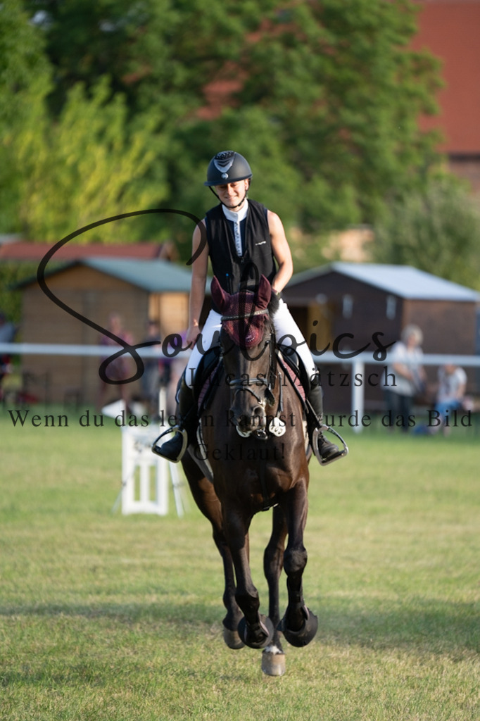 A7V01099 | Pferdefotograf