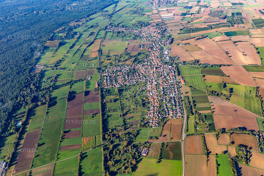 Luftbild: Ortsansicht von Osten in Steinfeld im Bundesland Rheinland-Pfalz in Deutschland. Foto: IMG_143472.jpg vom 29.09.2024 durch Werner Riehm/FLY-FOTO.de