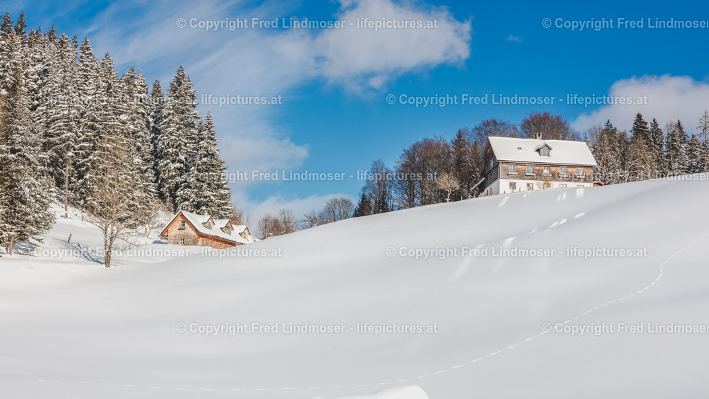 Winterlandschaft Mariazell Jan2017-0881 | Fotos und Fotoprodukte - Realisiert mit Pictrs.com