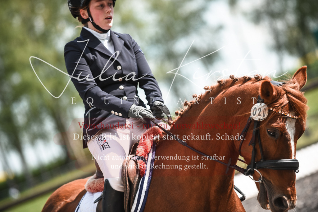 DSC_9043 | Pferde- und Turnierfotografie in Westsachsen. Pferdeportraits, Auftragszeichnungen und intuitive Kunst.